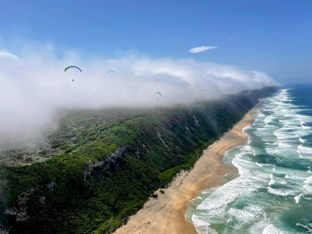 Paragliding is fun | South Africa